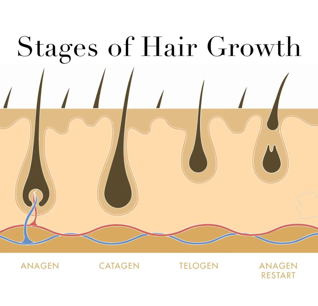Speeding Up Hair Growth